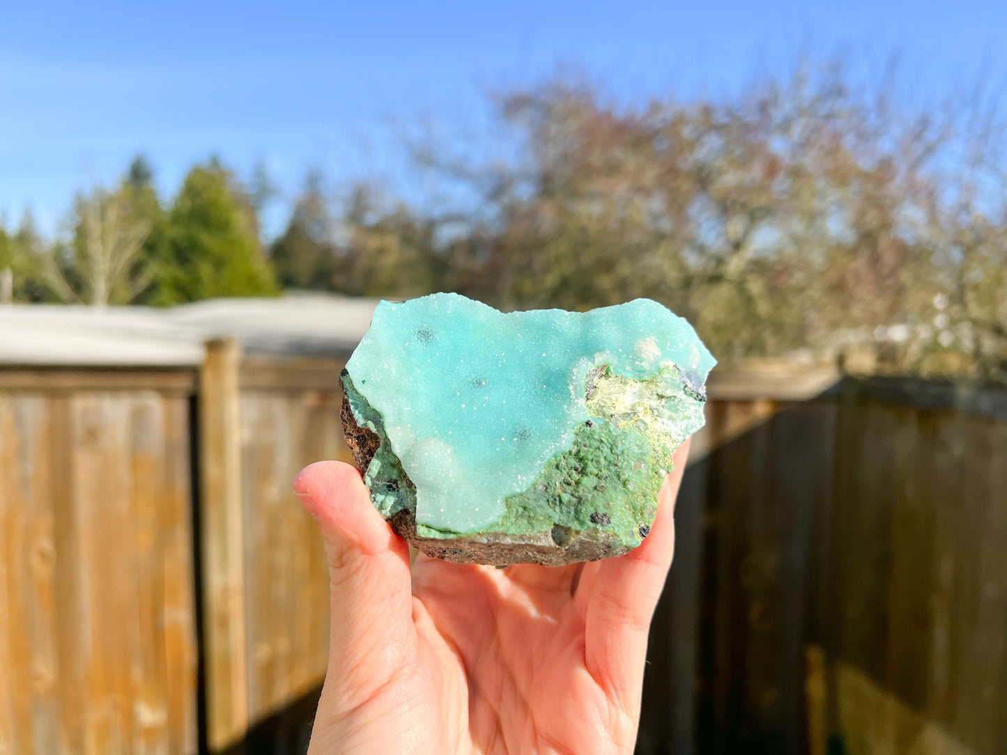 Druzy Chrysocolla Raw Crystal