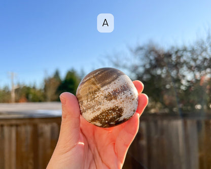 Ocean Jasper Palm Stone