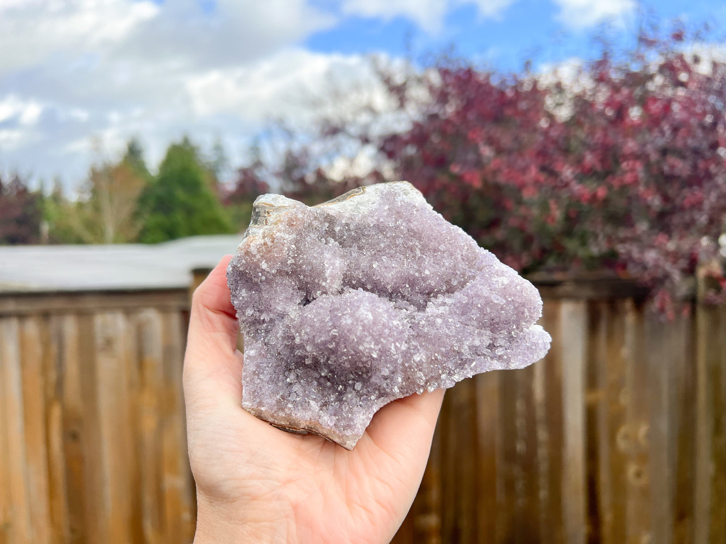 Amethyst Cluster