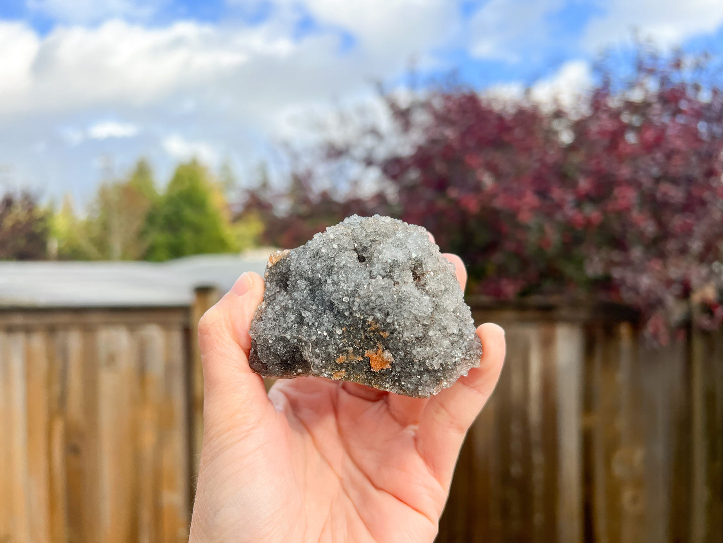 Black Amethyst Cluster